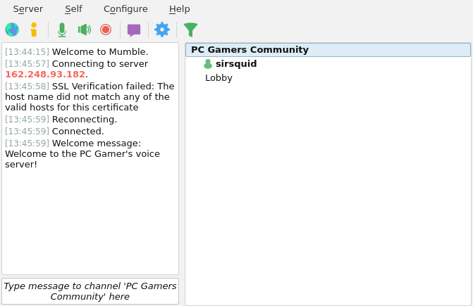 Can not connect to voice chat servers