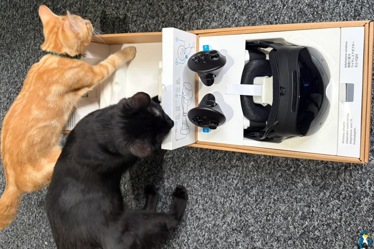 My cats checking out the Steam Frame in the box My cats checking out the Steam Frame in the box
