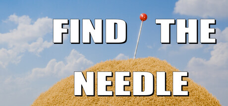 Find The Needle Find The Needle